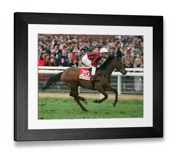Framed Print : Notcomplainingbut Framed Print : Notcomplainingbut