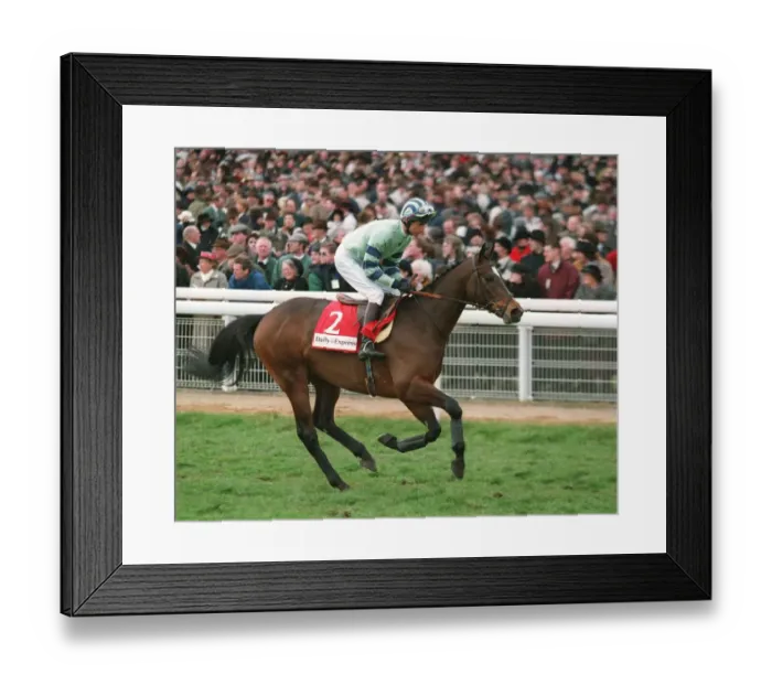 Framed Print : Amancio Racehorse 14 March 1995 Date: 14 March 1995