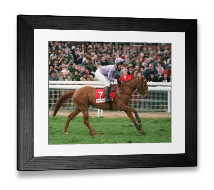 Framed Print : Brave Tornado Framed Print : Brave Tornado