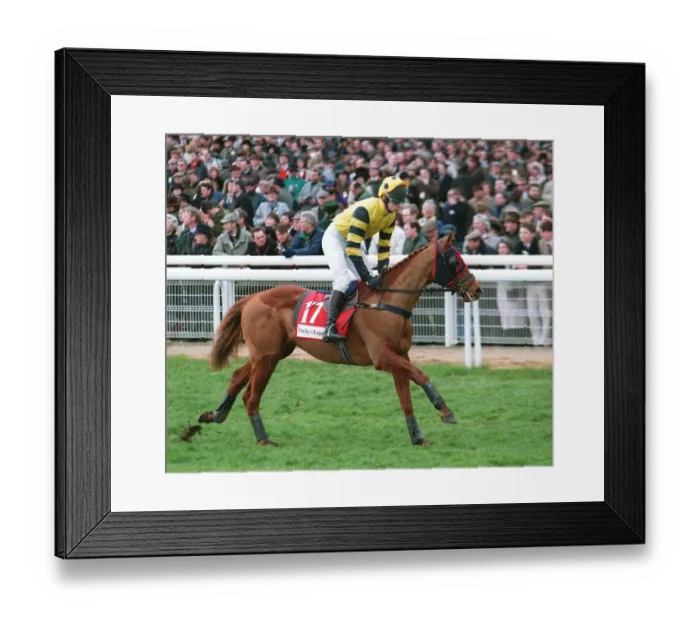 Framed Print : Nashville Star Framed Print : Nashville Star
