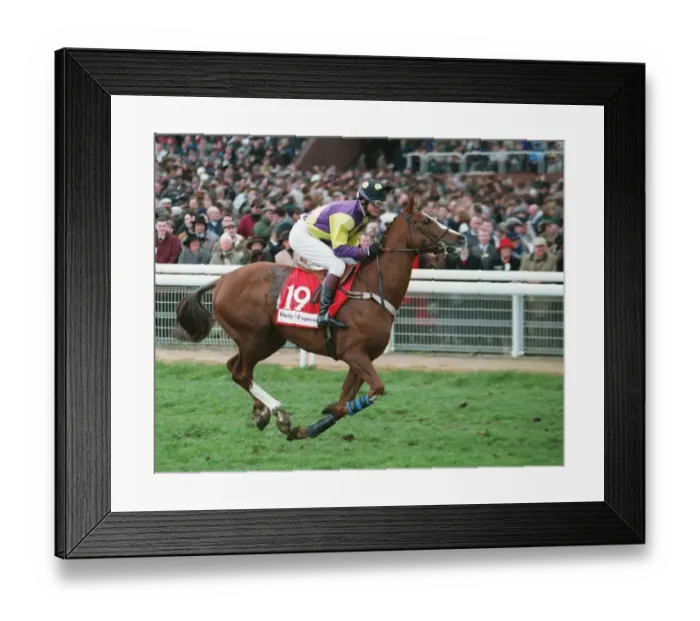 Framed Print : Shoofk Ridden By Richard Dunwoody 14 March 1995 Date: 14 March 1995 Framed Print : Shoofk Ridden By Richard Dunwoody 14 March 1995 Date: 14 March 1995