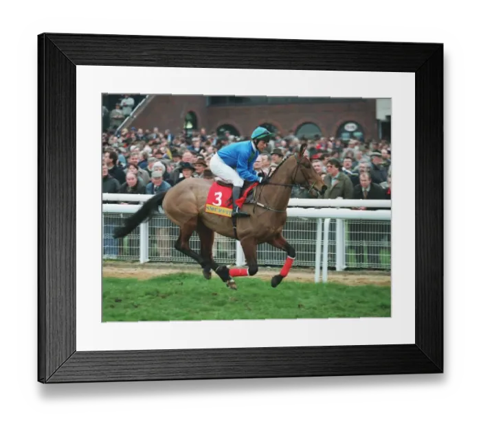 Framed Print : Bold Boss Ridden By Jonothan Lower 14 March 1995 Date: 14 March 1995 Framed Print : Bold Boss Ridden By Jonothan Lower 14 March 1995 Date: 14 March 1995