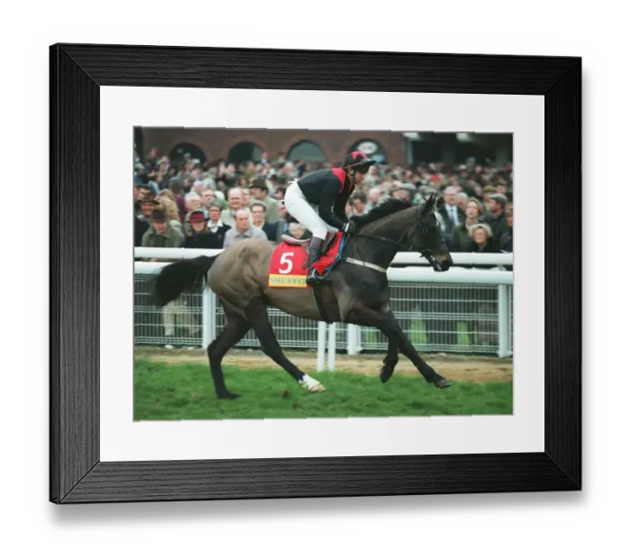 Framed Print : Destriero Racehorse 14 March 1995 Date: 14 March 1995 Framed Print : Destriero Racehorse 14 March 1995 Date: 14 March 1995
