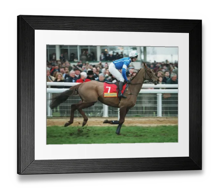 Framed Print : Jazilah Ridden By Richard Dunwoody 14 March 1995 Date: 14 March 1995 Framed Print : Jazilah Ridden By Richard Dunwoody 14 March 1995 Date: 14 March 1995