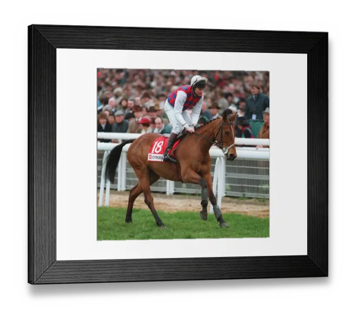 Framed Print : Tourist Attraction Framed Print : Tourist Attraction