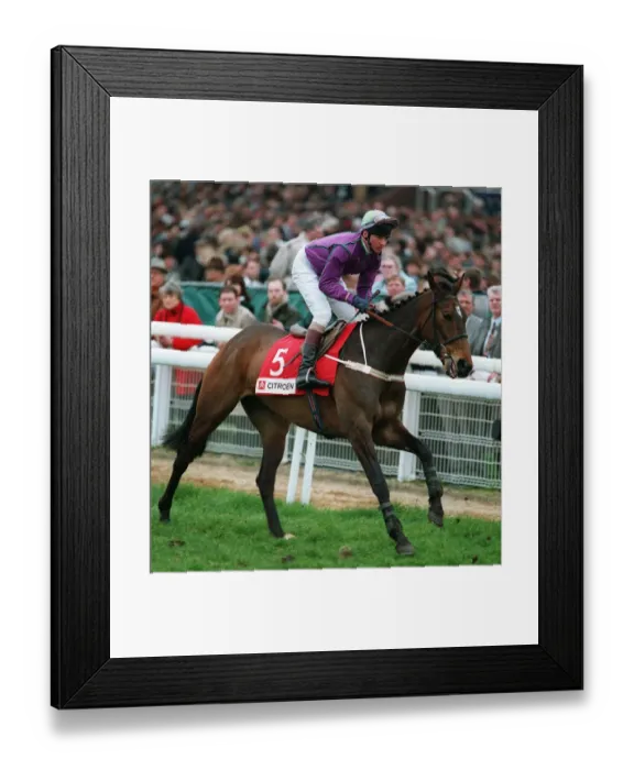 Framed Print : Gambolling Doc Framed Print : Gambolling Doc