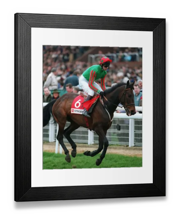 Framed Print : He Flies By Night Framed Print : He Flies By Night