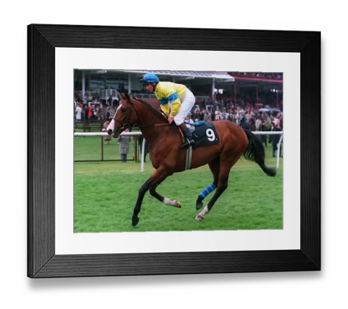 Framed Print : Strategic Choice Framed Print : Strategic Choice
