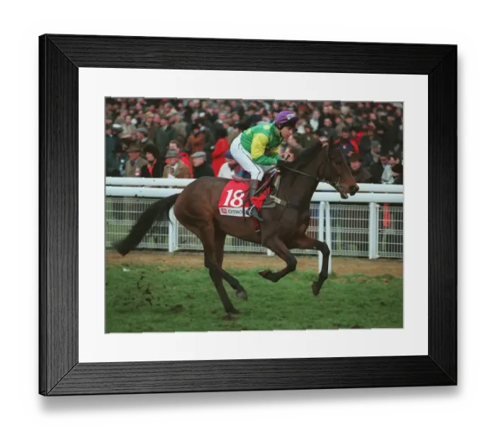 Framed Print : Roberts Toy Framed Print : Roberts Toy