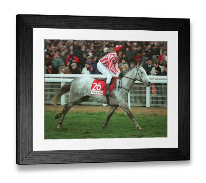 Framed Print : Silver Shred Framed Print : Silver Shred