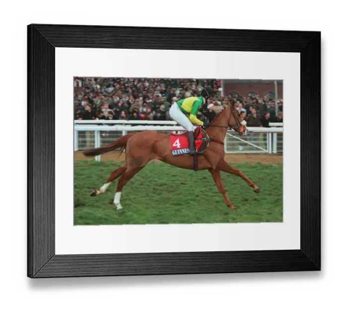 Framed Print : Captain Khedive