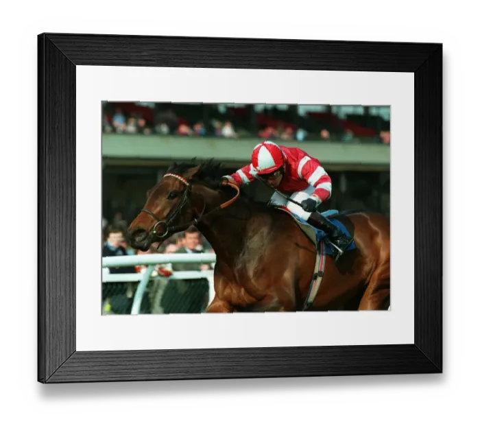 Framed Print : Farini Ridden By Kevin Darley 25 April 1995 Date: 25 April 1995 Framed Print : Farini Ridden By Kevin Darley 25 April 1995 Date: 25 April 1995
