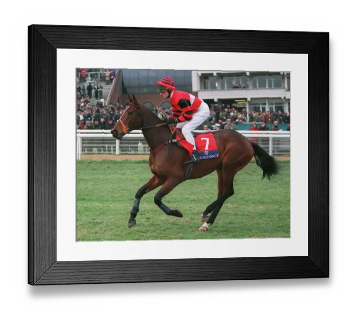 Framed Print : Jet Rules Racehorse 02 April 1996 Date: 02 April 1996