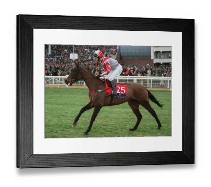 Framed Print : Sparkling Yasmin Framed Print : Sparkling Yasmin