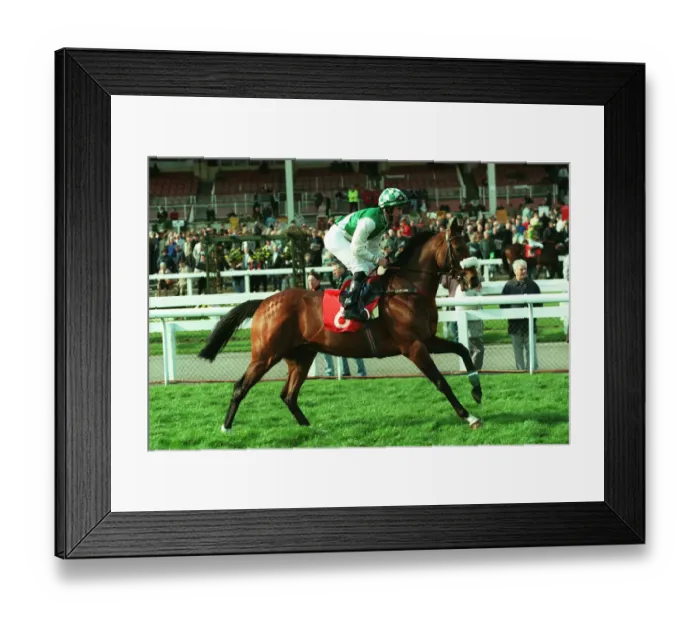 Framed Print : Sualtach Ridden By N.Callan 29 March 1999 Date: 29 March 1999 Framed Print : Sualtach Ridden By N.Callan 29 March 1999 Date: 29 March 1999