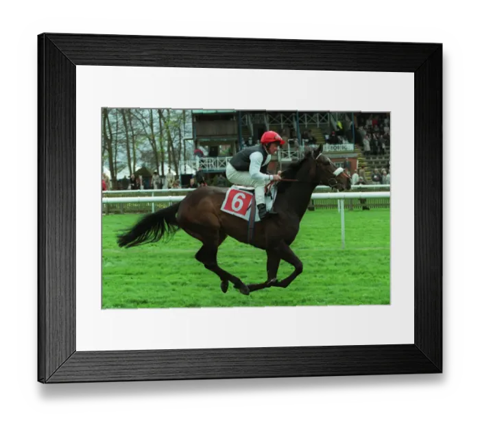 Framed Print : Frappe Ridden By M.Roberts 15 April 1999 Date: 15 April 1999 Framed Print : Frappe Ridden By M.Roberts 15 April 1999 Date: 15 April 1999
