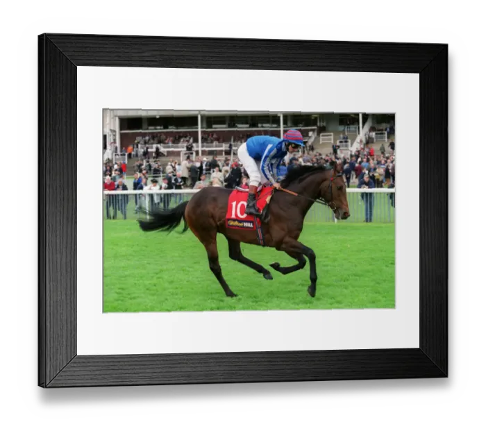 Framed Print : Calcutta Ridden By M.Hills 13 May 1999 Date: 13 May 1999 Framed Print : Calcutta Ridden By M.Hills 13 May 1999 Date: 13 May 1999