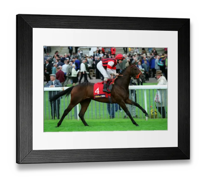 Framed Print : Poles Apart Framed Print : Poles Apart