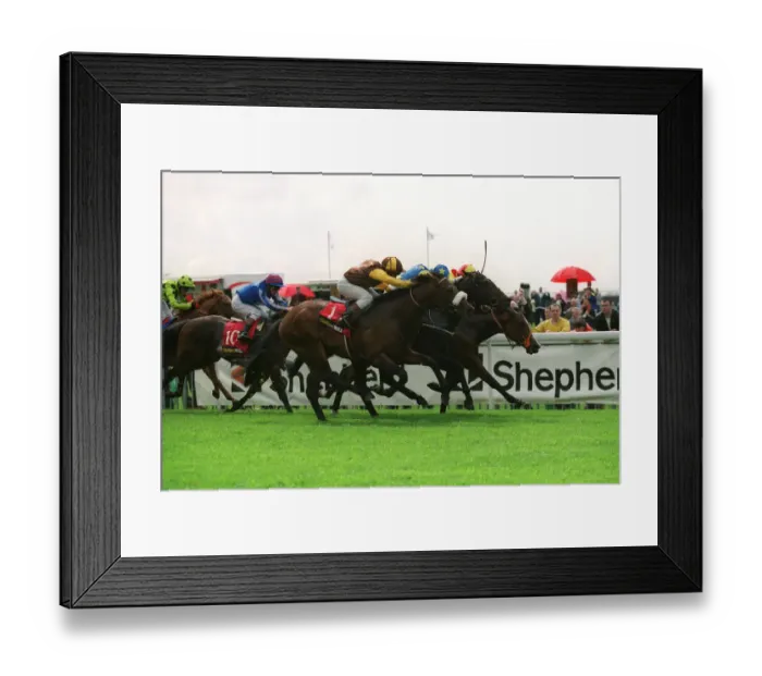 Framed Print : Swallow Flight Framed Print : Swallow Flight