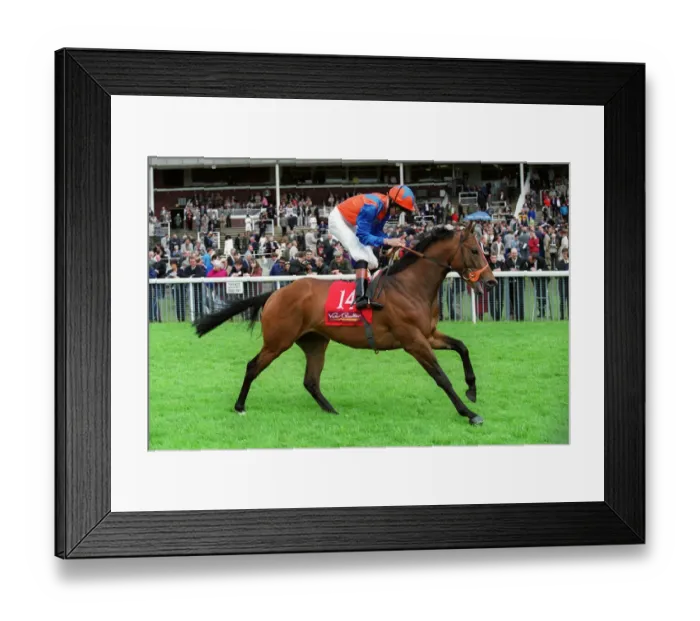 Framed Print : Sampower Star Framed Print : Sampower Star