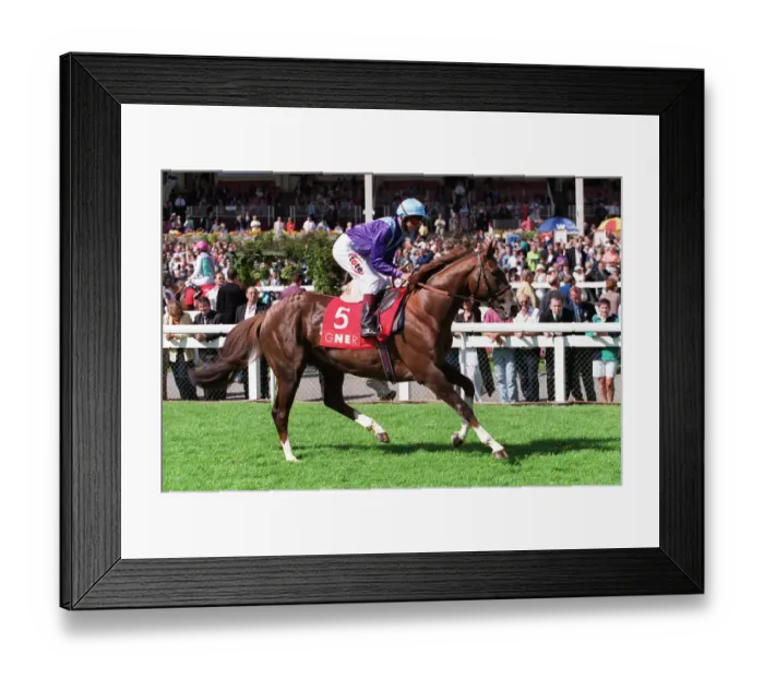Framed Print : Refuse To Lose Framed Print : Refuse To Lose