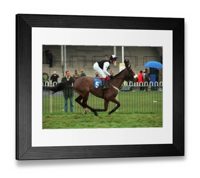 Framed Print : Mr Mahdlo Ridden By N.Williamson 18 January 2000 Date: 18 January 2000