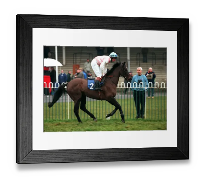 Framed Print : Star Selection Framed Print : Star Selection