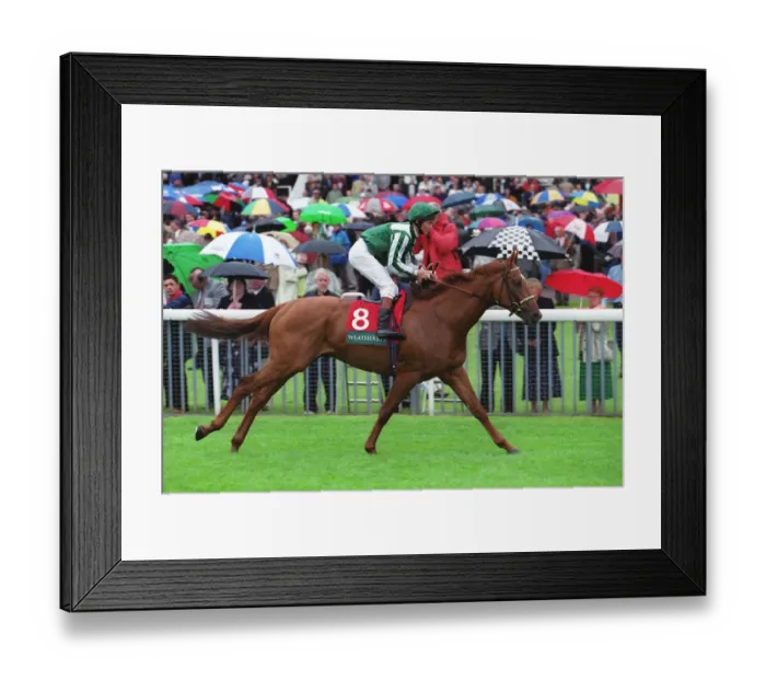 Framed Print : Ashgar Ridden By Philip Robinson 09 September 1999 Date: 09 September 1999 Framed Print : Ashgar Ridden By Philip Robinson 09 September 1999 Date: 09 September 1999