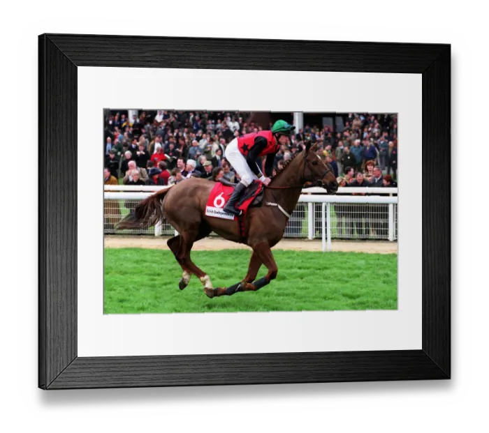 Framed Print : Rathbawn Prince