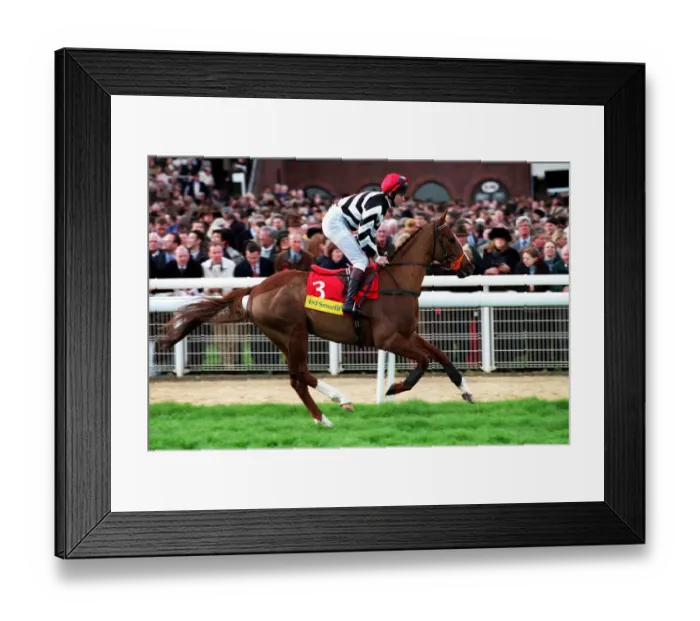 Framed Print : Balla Sola