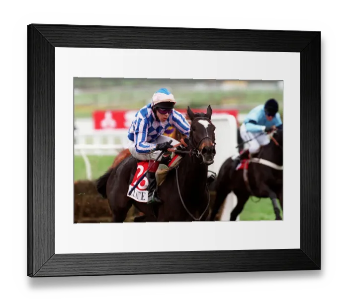 Framed Print : Snow Drop Wins Triumph Hurdle Framed Print : Snow Drop Wins Triumph Hurdle