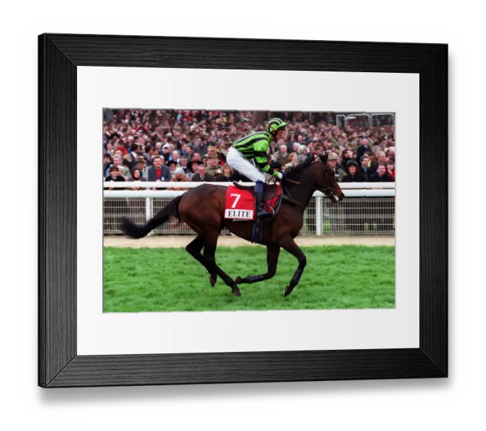Framed Print : Donatus Ridden By Mr P.Flynn 14 March 2000 Date: 14 March 2000