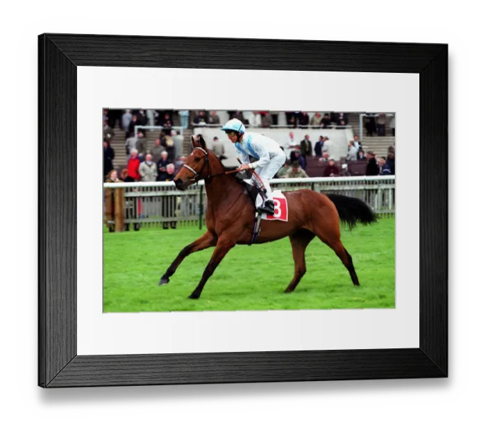 Framed Print : Shady Point Framed Print : Shady Point