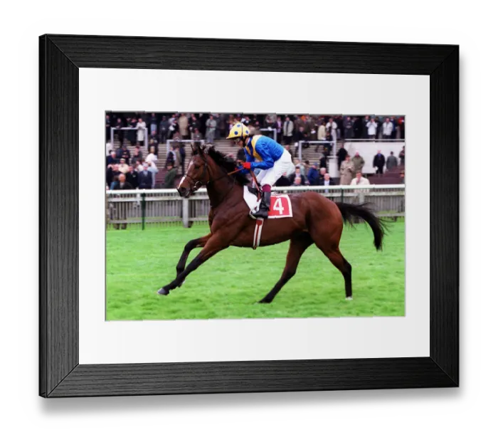 Framed Print : Kings Best Framed Print : Kings Best