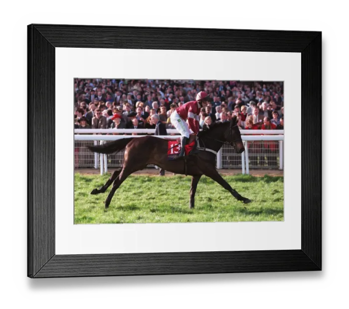Framed Print : Spendid Ridden By A.Maguire 23 March 1999 Date: 23 March 1999 Framed Print : Spendid Ridden By A.Maguire 23 March 1999 Date: 23 March 1999
