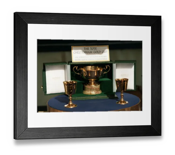 Framed Print : Cheltenham Gold Cup