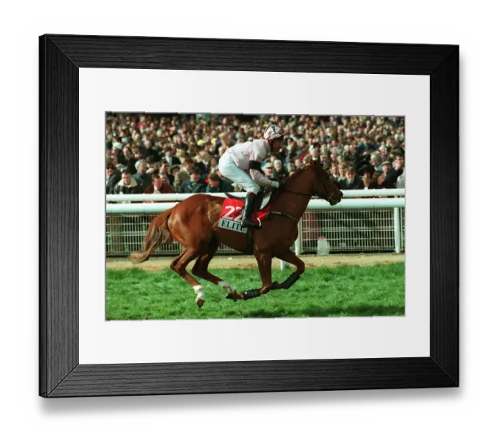 Framed Print : Miss Fara Ridden By T.J.Murphy 29 March 1999 Date: 29 March 1999 Framed Print : Miss Fara Ridden By T.J.Murphy 29 March 1999 Date: 29 March 1999