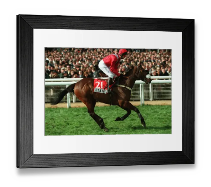 Framed Print : The Gene Genie Framed Print : The Gene Genie
