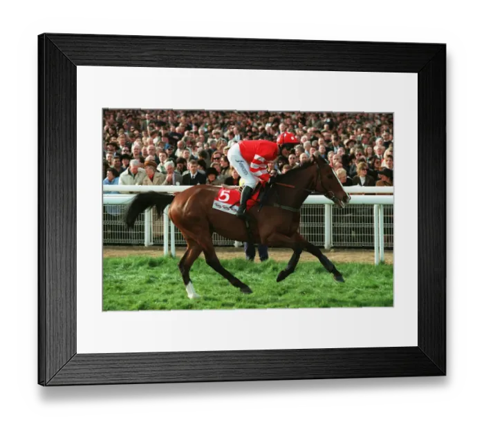 Framed Print : Florida Pearl Framed Print : Florida Pearl