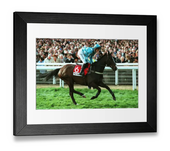 Framed Print : Go Ballistic Framed Print : Go Ballistic