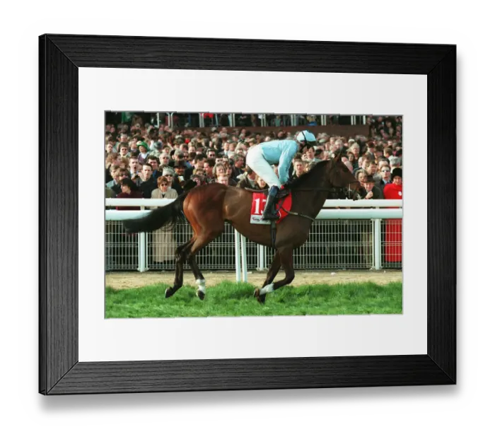 Framed Print : Unsinkable Boxer Framed Print : Unsinkable Boxer