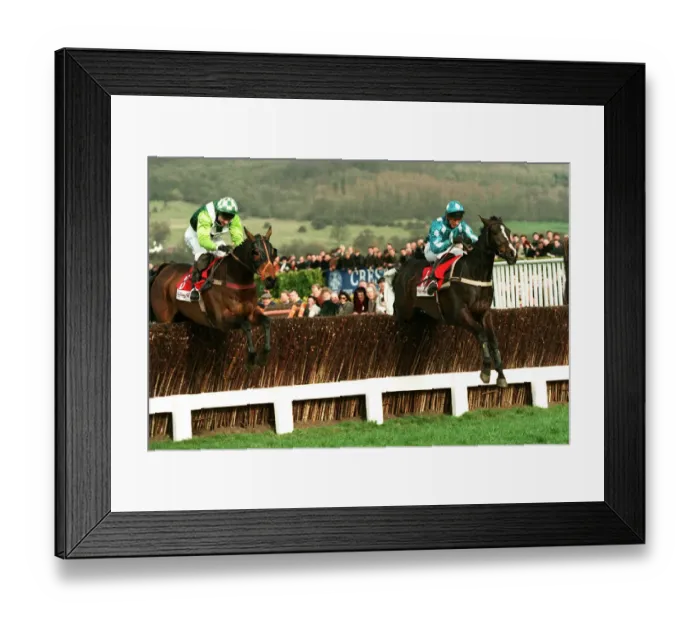 Framed Print : See More Business, Go Ballistic Framed Print : See More Business, Go Ballistic