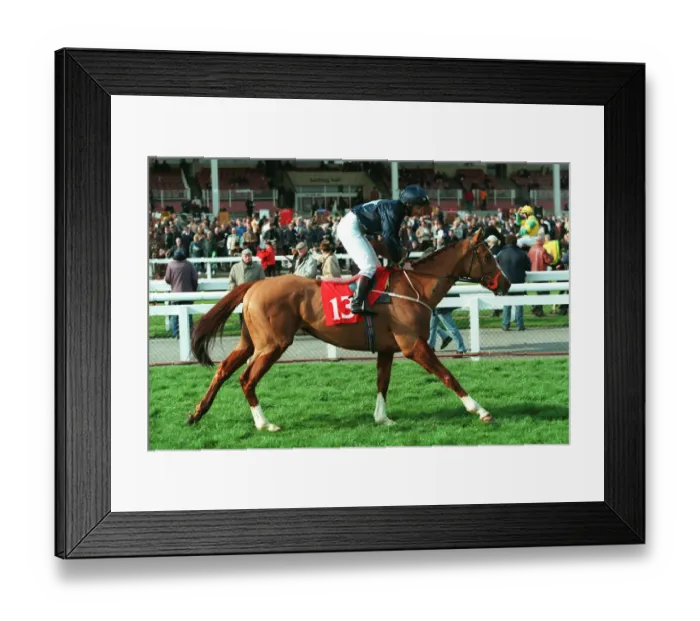 Framed Print : Sky Dome Ridden By T.Quinn 29 March 1999 Date: 29 March 1999 Framed Print : Sky Dome Ridden By T.Quinn 29 March 1999 Date: 29 March 1999