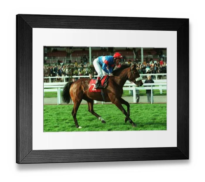 Framed Print : Jay Owe Two Framed Print : Jay Owe Two