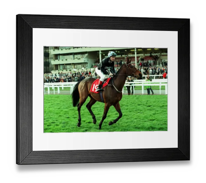 Framed Print : Ra Ra Rasputin Framed Print : Ra Ra Rasputin