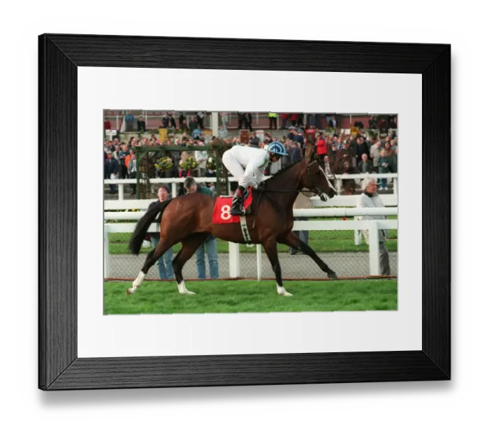 Framed Print : Mount Holly