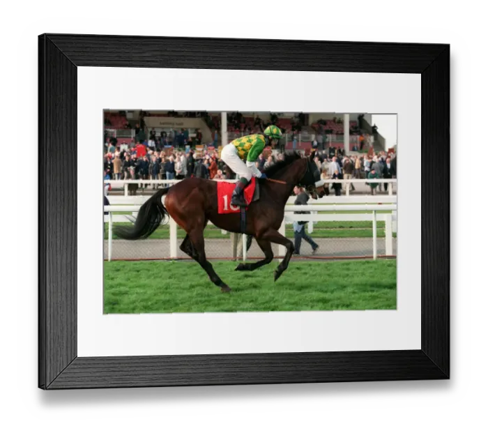 Framed Print : Topton Ridden By K.Fallon 29 March 1999 Date: 29 March 1999 Framed Print : Topton Ridden By K.Fallon 29 March 1999 Date: 29 March 1999