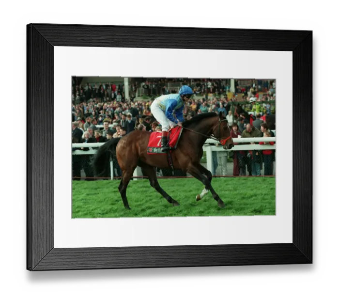 Framed Print : Raheen Ridden G.Carter 30 March 1999 Date: 30 March 1999 Framed Print : Raheen Ridden G.Carter 30 March 1999 Date: 30 March 1999