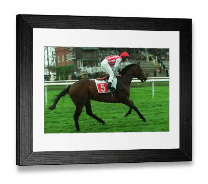 Framed Print : Gorse Ridden By T.Quinn 15 April 1999 Date: 15 April 1999 Framed Print : Gorse Ridden By T.Quinn 15 April 1999 Date: 15 April 1999