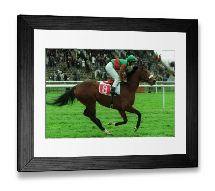 Framed Print : Lamzena Ridden By T.Quinn 15 April 1999 Date: 15 April 1999